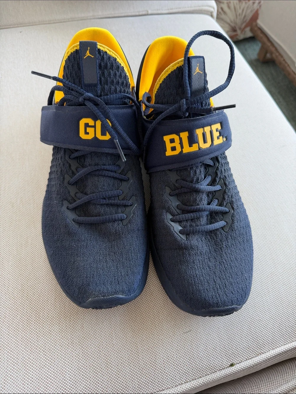 Jordan Navy and Yellow GO BLUE Strap Sneakers